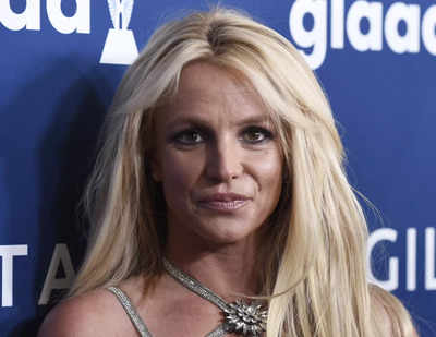 Reports claim Britney Spears' dogs were ill prior to her alleged altercation with housekeeper