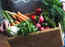 Six healthiest vegetables that you should include in your diet