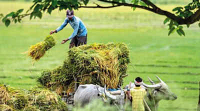 Farmer runs from pillar to post for 5 years to return Rs 53k to govt
