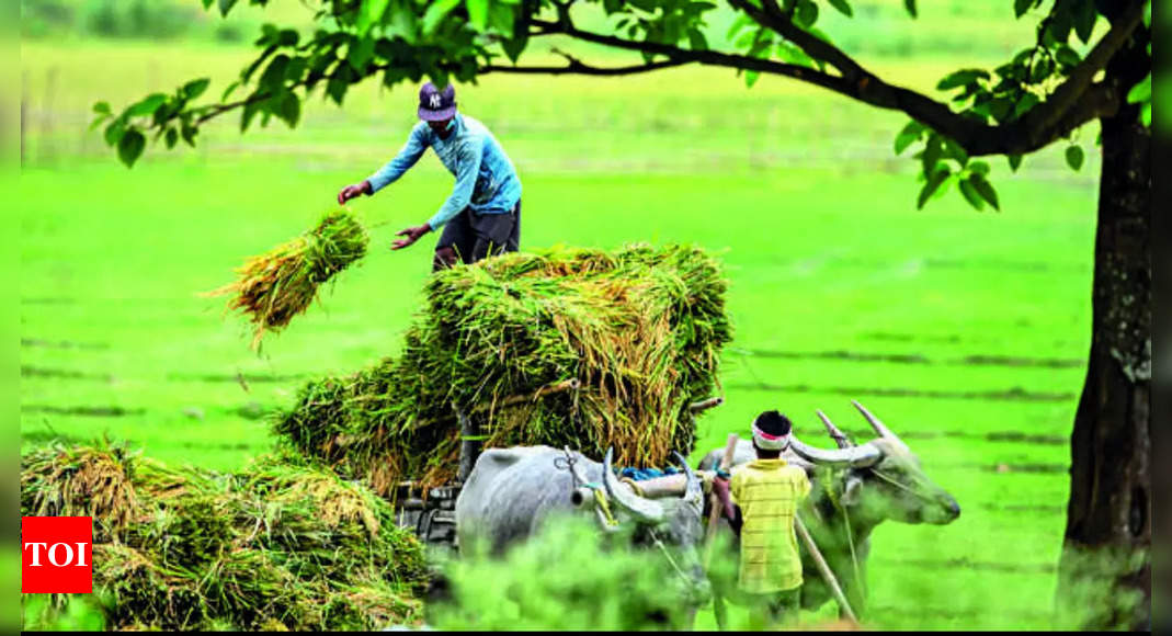 This farmer runs from pillar to post for 5 yrs to return 53k to govt