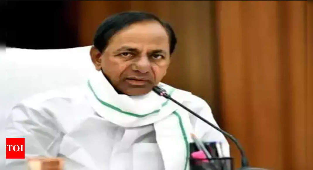 Control spread of seasonal diseases: Telangana CM