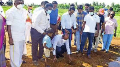 Palmyra tree saplings planted near Trichy | Trichy News - Times of India