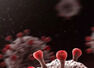 COVID-19 vs. Coronavirus vs. SARS-COV-2