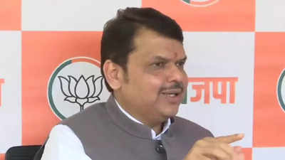 BJP does not support Narayan Rane's statement, but will stand by him if arrested illegally: Devendra Fadnavis