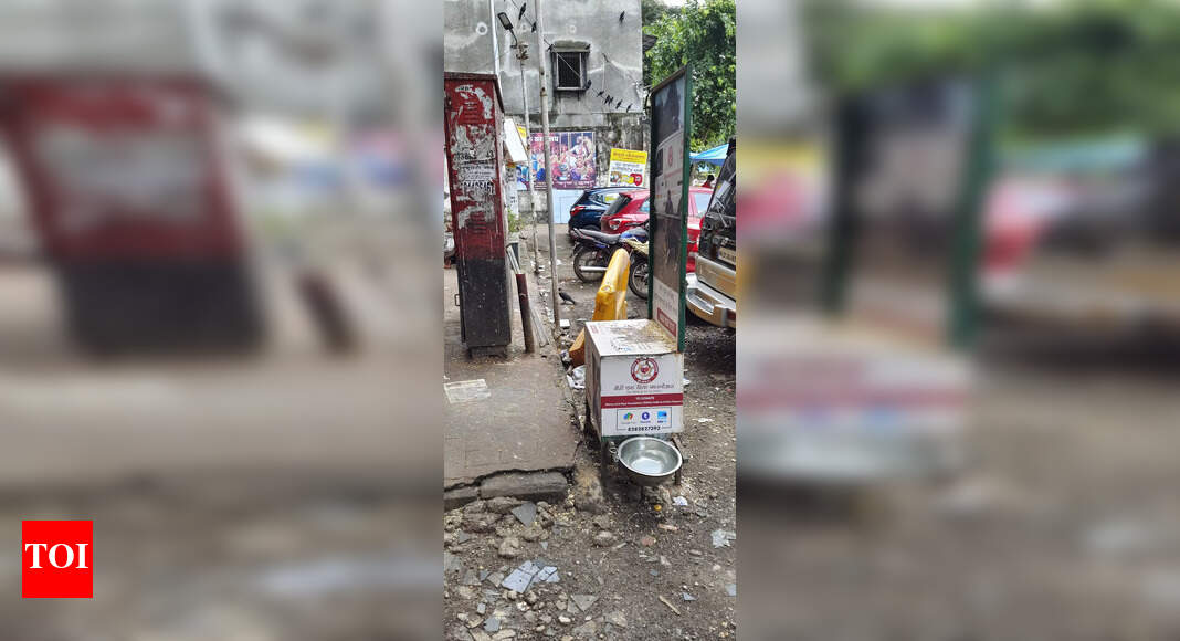 illegal bird feeding at public road Times of India