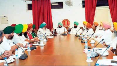 Punjab CM Amarinder Singh hikes state assured price to 360 per quintal, cane farmers call off protest