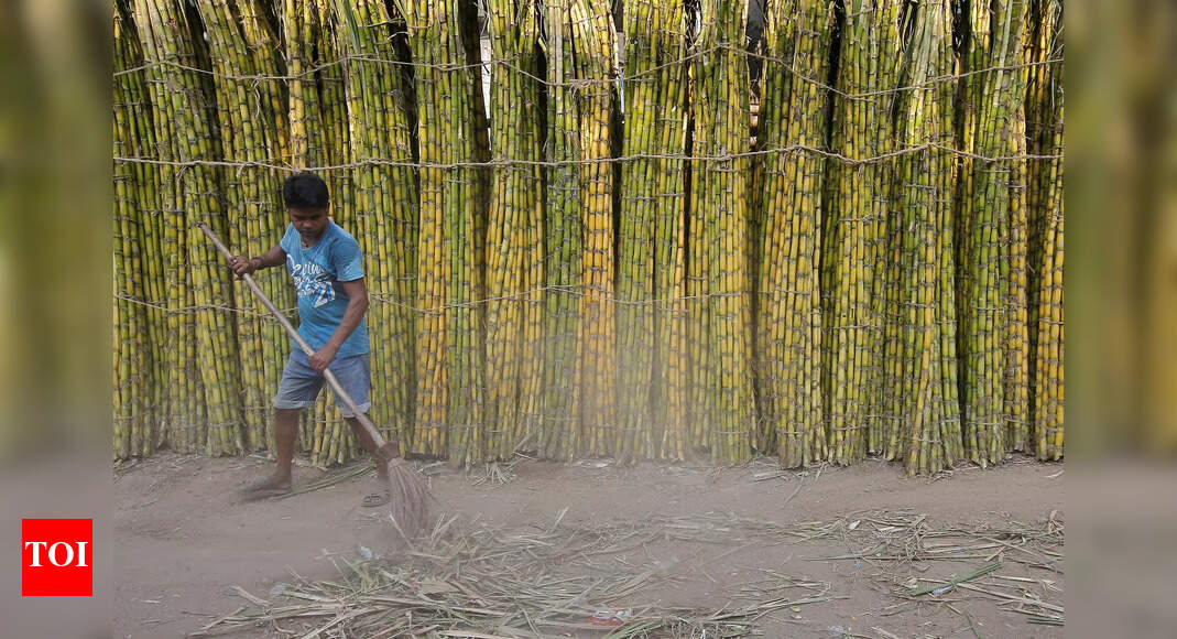 Govt approves FRP of Rs 290/quintal on sugarcane