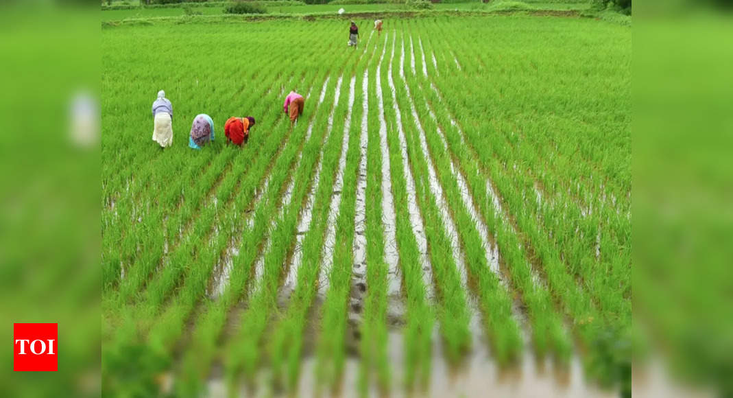 Tamil Nadu farmers to get Rs 11,500 crore loans