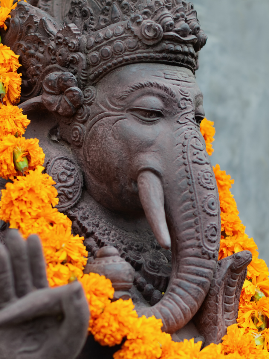 Divine flowers loved by Hindu Gods | Times of India