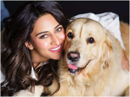 International Dog Day 2022: From Tuffy to Entertainment; 5 Dogs That Stole  the Limelight in Bollywood Movies - News18