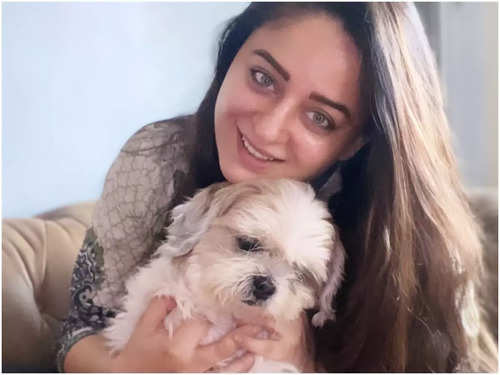 International Dog Day 2022: From Tuffy to Entertainment; 5 Dogs That Stole  the Limelight in Bollywood Movies - News18