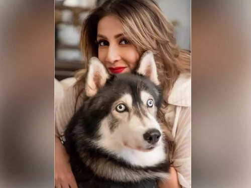 International Dog Day 2022: From Tuffy to Entertainment; 5 Dogs That Stole  the Limelight in Bollywood Movies - News18