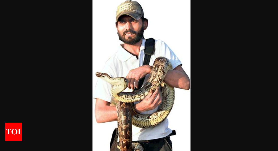 Gujarat: Strict rules put snake rescuers in a spot