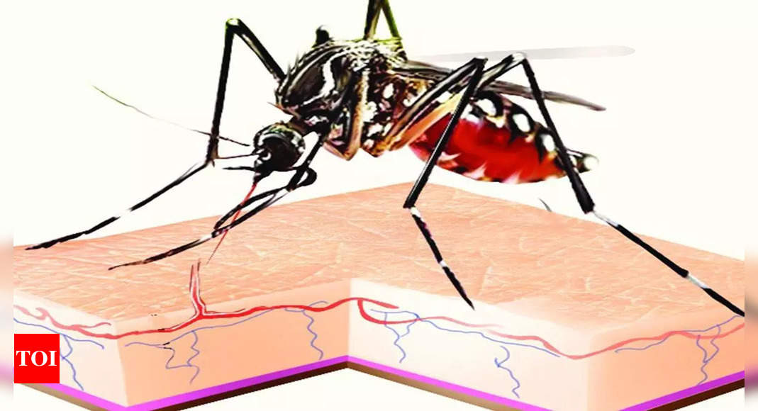 Kol: Feverless malaria cases set off mutating parasite fears