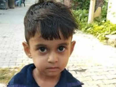 Haryana: 4-year-old boy dies of Krait snake's bite in Kurukshetra,  residents allege unhygienic conditions | Chandigarh News - Times of India