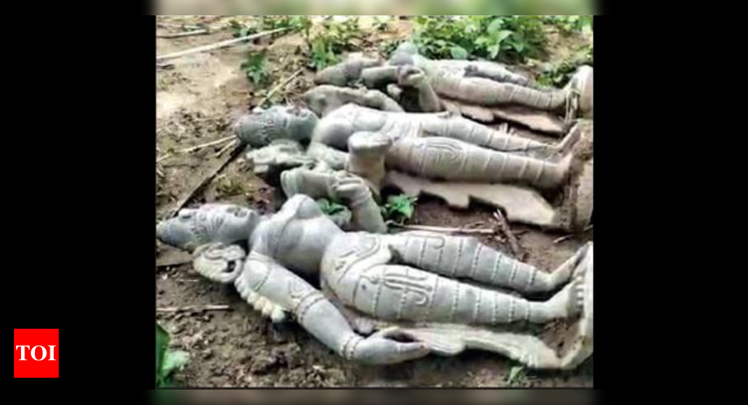 Three stone idols found in Chennai's Ponneri