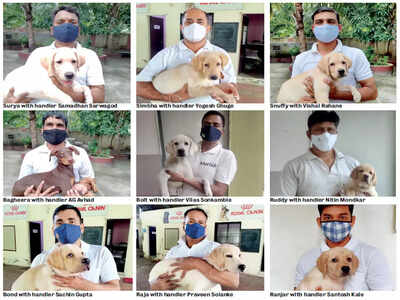 Pooch pooch hota hai