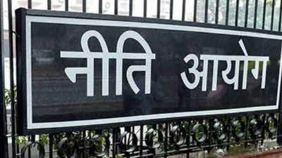 Niti Aayog asks Haryana to restrict celebrations