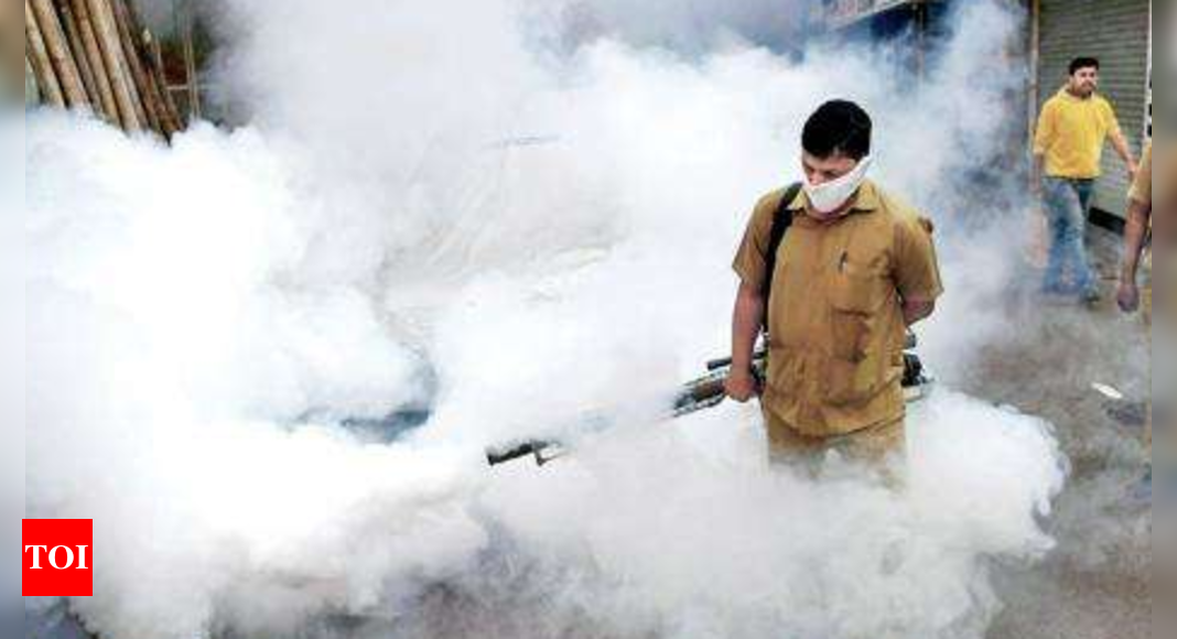 GHMC steps up drive to swat dengue risk in schools