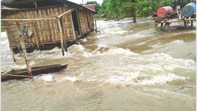 Assam: Threat to animals in flooded Kaziranga National Park