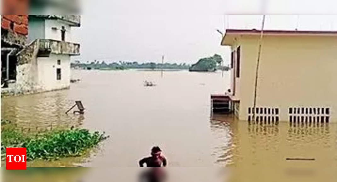 Bihar: Flood affects 30 lakh people, damages crops in 14 districts ...