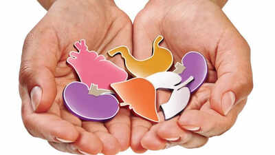 Surat: Organs of two brain-dead friends give new lease of life to several patients