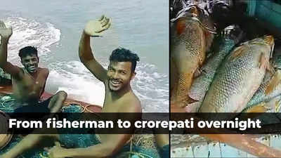 Mumbai: Fisherman nets ghol fish and earns Rs 1.33 crore in auction