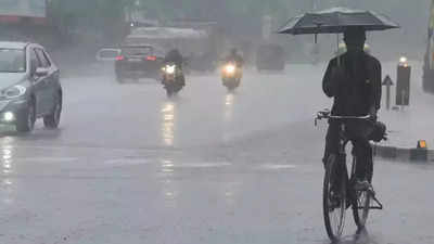 Maharashtra: Raigad gets over 2,900 mm rainfall since June