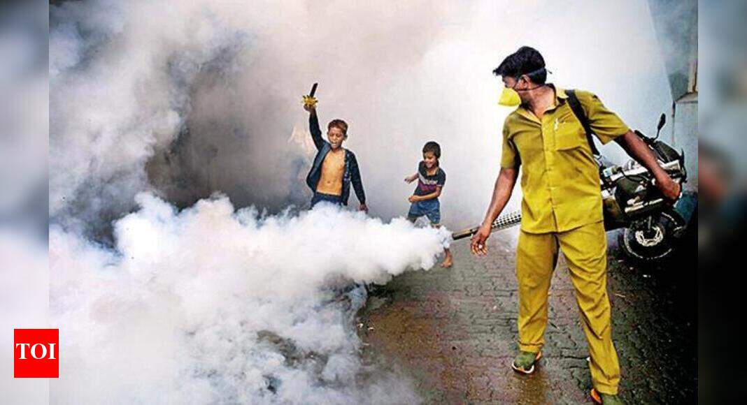 Mumbai: Jump in dengue hospitalisations in August, compared to July ...