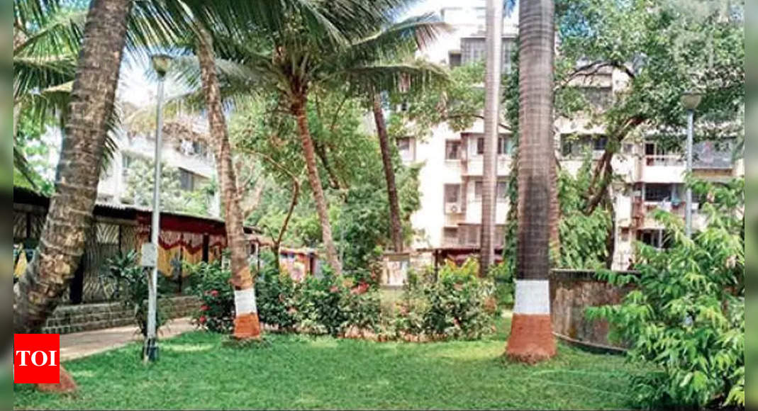 Mumbai's painted tree trunks spark interest abroad