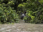 These images show flood situation worsening in Assam