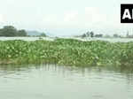 These images show flood situation worsening in Assam