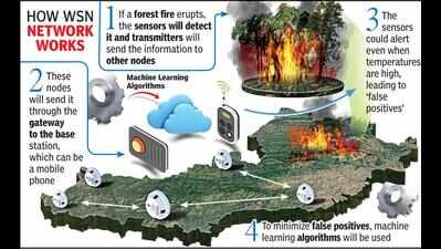 IIT-Indore using AI to develop network to detect fires in Melghat Tiger ...