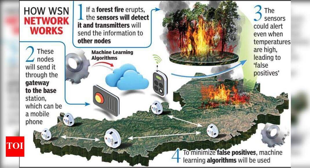 IIT-Indore using AI to develop network to detect fires in Melghat Tiger ...