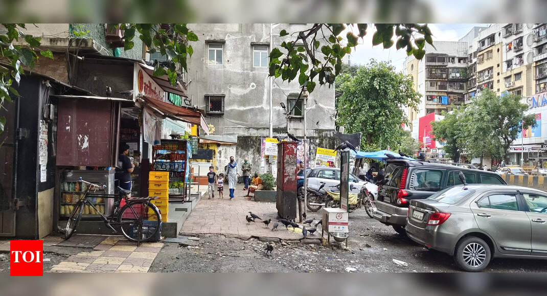 illegal bird feeding and installation Times of India