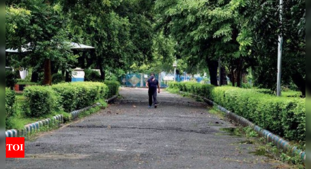 Nature observatory, med garden on cards for Lake