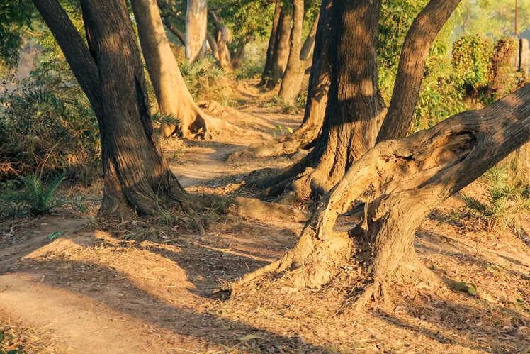 Shantiniketan