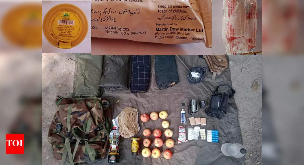 Army foils infiltration bid along LoC in Poonch, recovers items with ‘Pak marking’