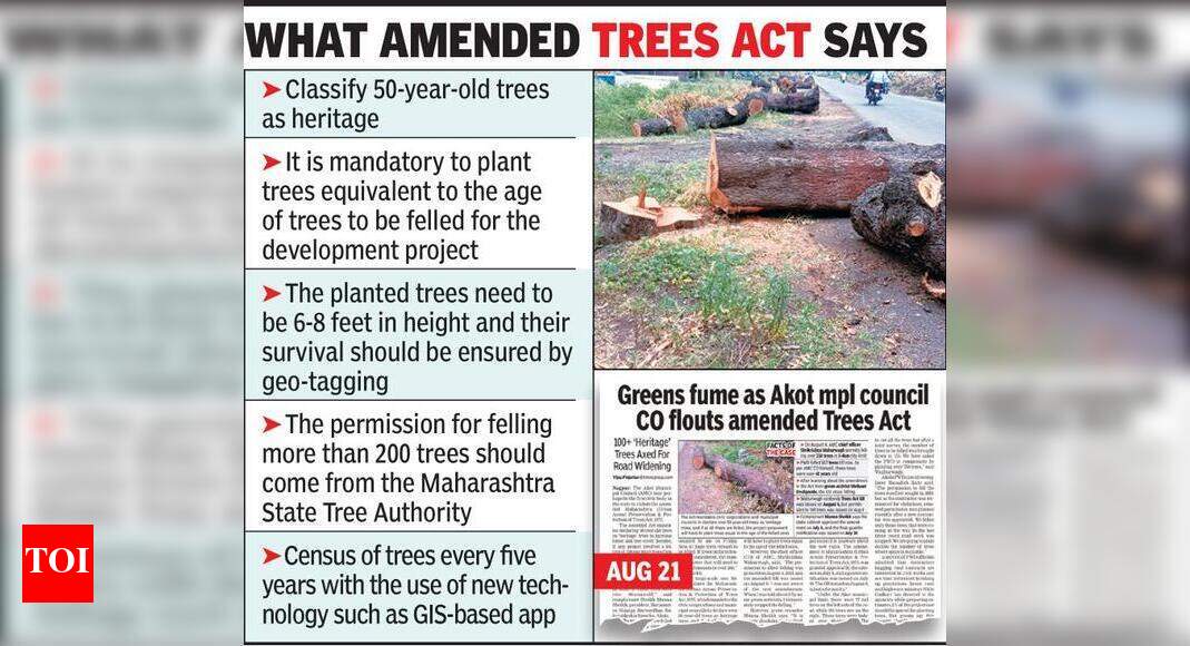 State seeks report on age of trees PWD cut for road widening | Nagpur ...