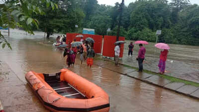 Image used for representational purpose only Forecast of heavy rains worries Karnataka farmers | Bengaluru News, the vie