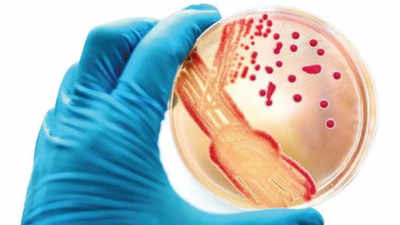 Antimicrobial resistance is rising in India, says ICMR report