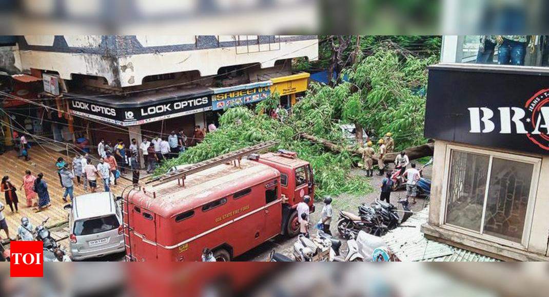 Goa: Tree in Vasco market falls, six vehicles damaged