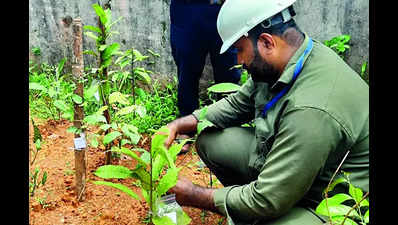 Karnataka: Geotagging of Miyawaki forests done to study impact