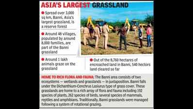 Banni grassland to be cleared of encroachments