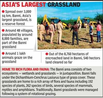 Banni grassland to be cleared of encroachments | Rajkot News - Times of ...