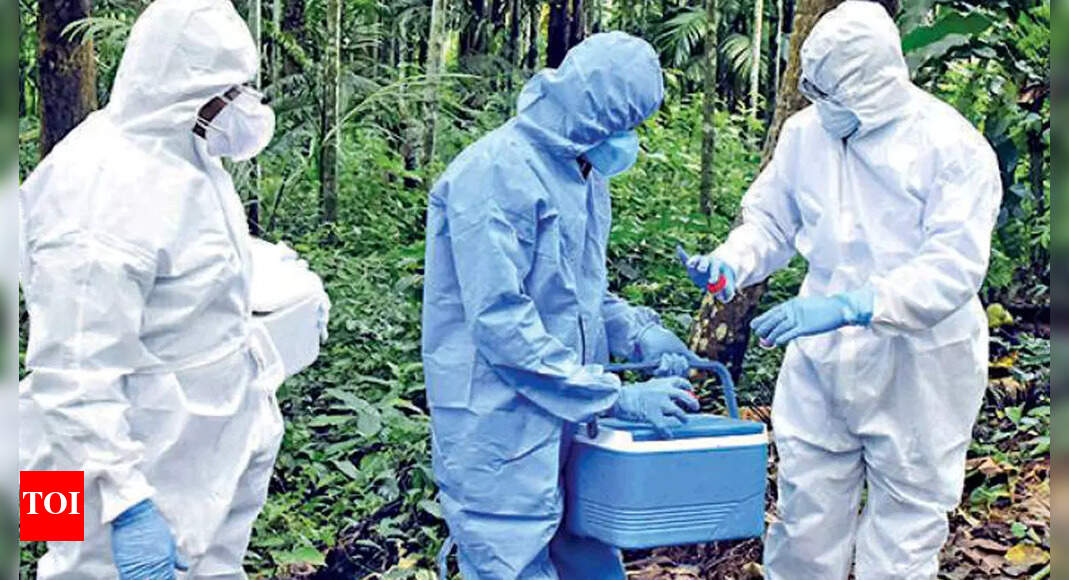 Kerala Nipah death: 251 contacts traced