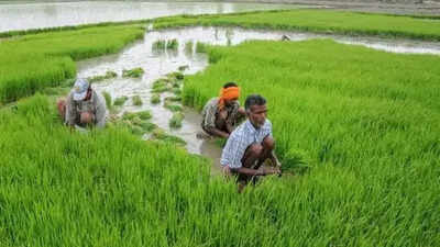 Digital Farming: Database of 8 crores land-owning farmers to be ready by December