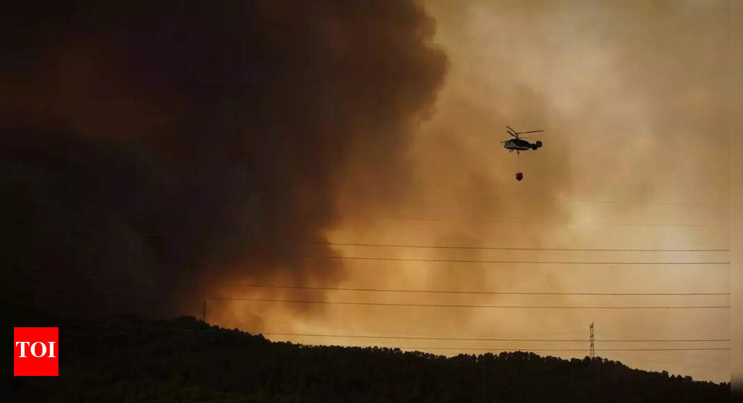 , Soldiers, planes fight intentional wildfires in Spain, The World Live Breaking News Coverage & Updates IN ENGLISH