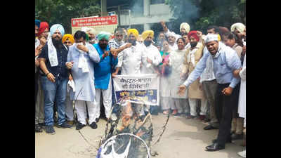 Power purchase agreements: AAP members stage sit-in protest in Ludhiana, burn Punjab CM's effigy
