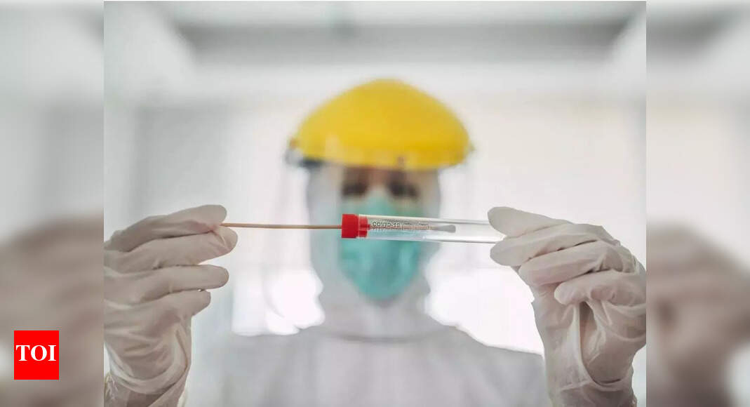 Four new Covid cases detected in Vadodara Vadodara News Times of India